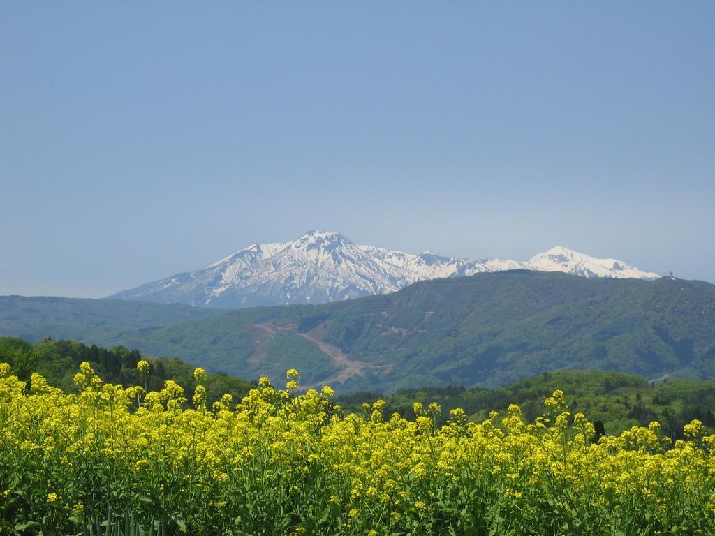 Marushige Vila Nozawaonsen Exterior foto
